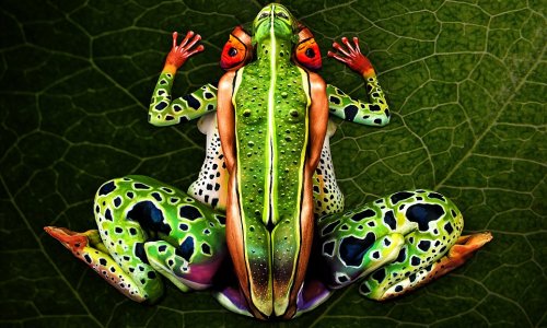 Artist's incredible body painting transforms five people into a tropical frog