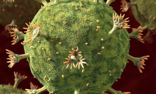 HIV: new approach against virus holds promise