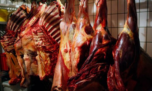 В Азербайджане обнаружены 156 кг мяса конины