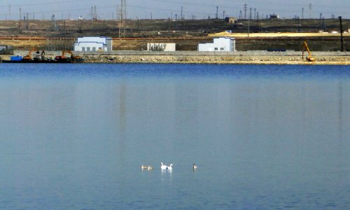 Prezidentin tapşırığı ilə tikinti dayandırıldı və icra başçısına töhmət verildi