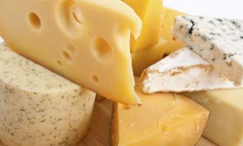 Azerbaijan and France may start cheese production