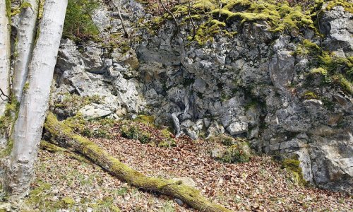 Can YOU spot the naked model camouflaged by trees and rocks