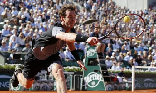 Andy Murray beats David Ferrer to reach French Open semi-finals