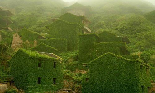 Abandoned Chinese village swallowed by vines