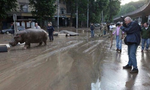 Bakıdan Tiflisə yeni təklif