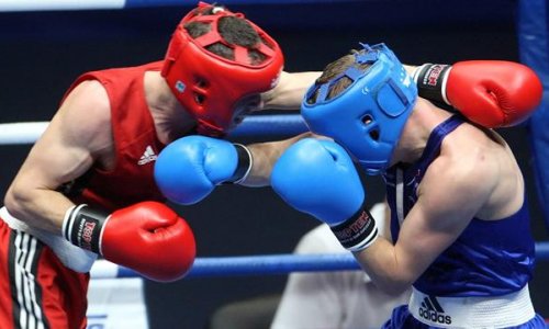 Два азербайджанских боксёра вышли в полуфинал
