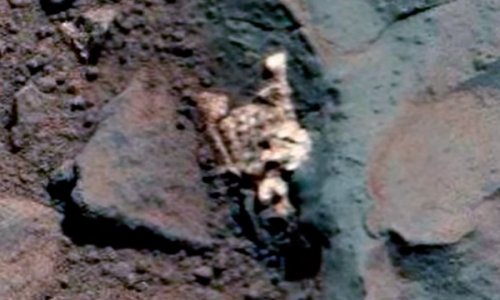 Охотники нашли убитое на Марсе существо
