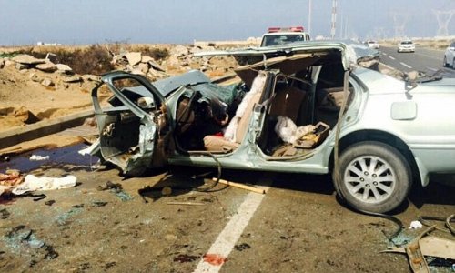 Family of four killed in horrific car crash after running over a CAMEL