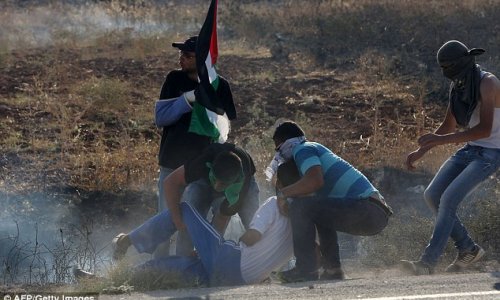 Palestinian youth shot dead by Israeli troops during protest