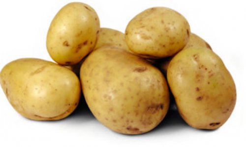 Kartof 15-20 dəfə baha satılır - EKSPERT