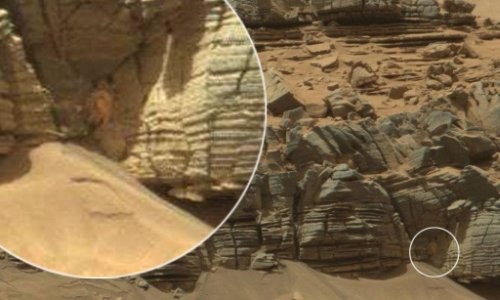 На Марсе обнаружили крабоподобного 