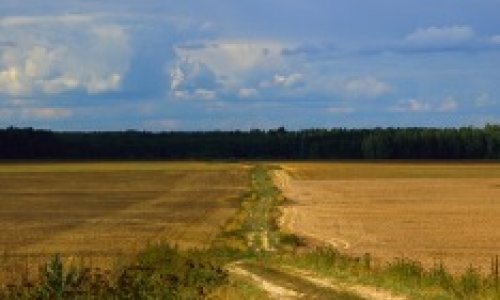 Сын Порошенко предложил продать украинскую землю, но не 