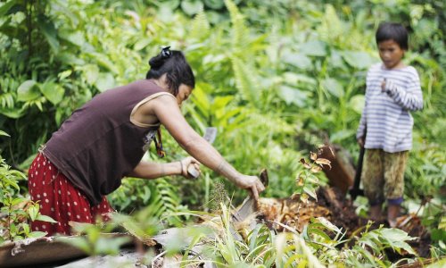 Life with the tattooed Indonesian tribe