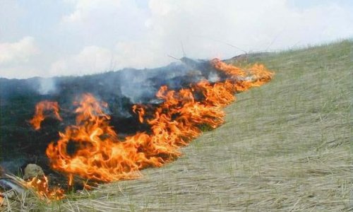 Bakıda bəzi sığorta agentlərinin lisenziyaları ləğv edildi