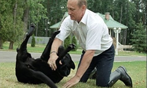Собака Путина летала отдельным самолетом