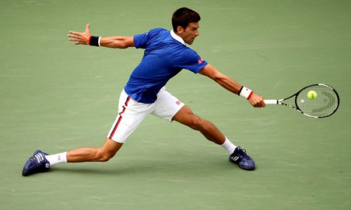 Novak Djokovic Is No. 1, Like It or Not