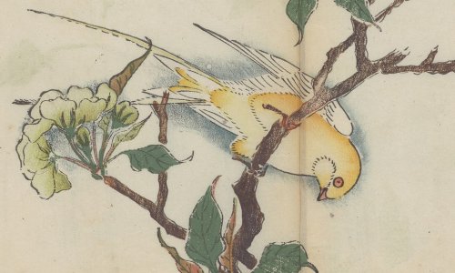 Inside the world's oldest multicolor printed book
