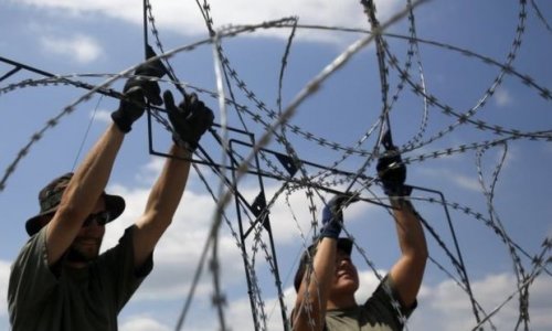 Migrant crisis: Hungarian army stages border protection exercise