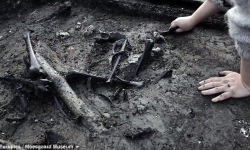 Danish Iron Age remains reveal macabre practices