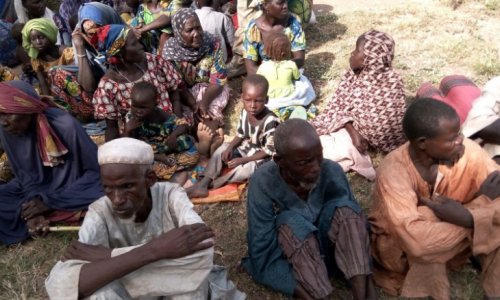 Nigerians free hundreds in raid on Boko Haram camps, army says