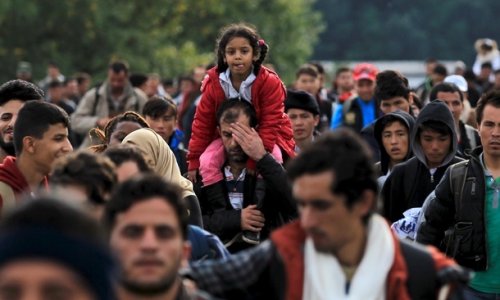 Германия посчитала беженцев
