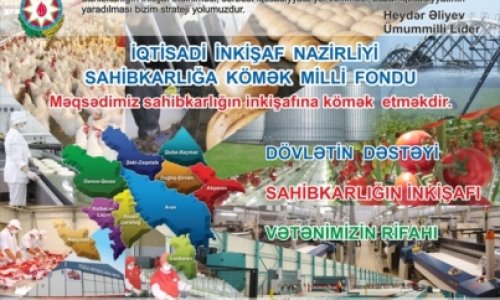 Sahibkarlığa Kömək Milli Fondu investisiya layihələrinin qəbuluna başlayır