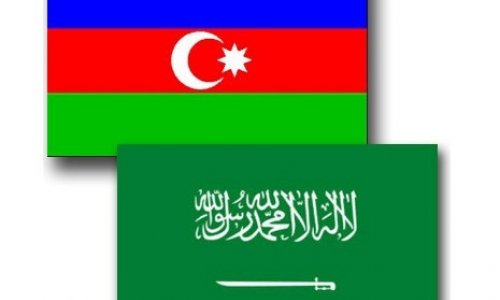 Saudi Arabia mulls petrochemical investments with Azerbaijan