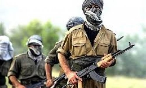 Türkiyə Silahlı Qüvvələri 23 PKK terrorçusunu məhv edib