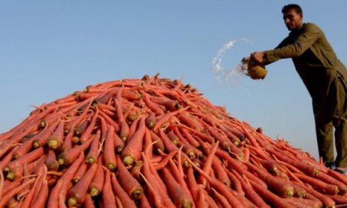 World Trade Organization strikes 'historic' farming subsidy deal