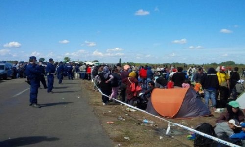 Австрия депортировала сотни мигрантов-лжецов