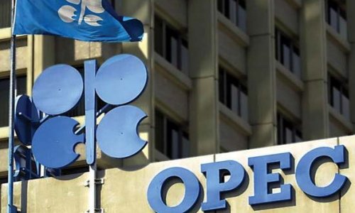 ОПЕК прогнозирует сокращение добычи нефти в Азербайджане
