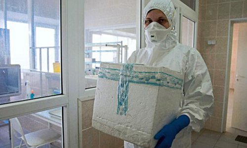 Свиной грипп бушует в Турции