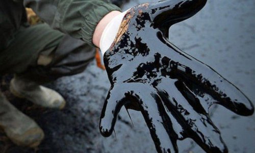 Цена на нефть упала