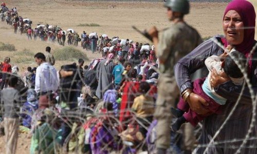 Азербайджан может принять сирийских беженцев