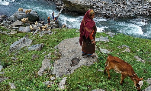 A Himalayan village on the path of Alexander the Great