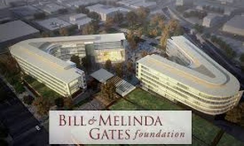 Билл Гейтс против Зика