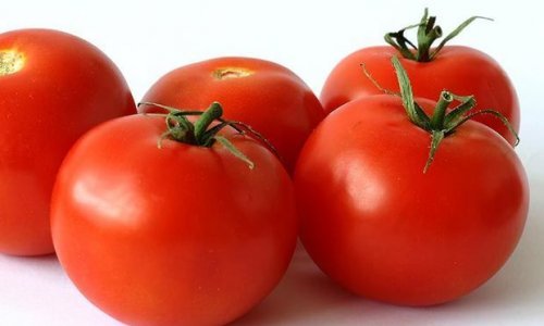 Россия забраковала наши томаты