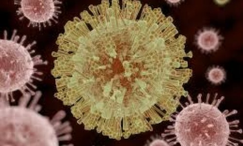 Ученые связали вирус и синдром