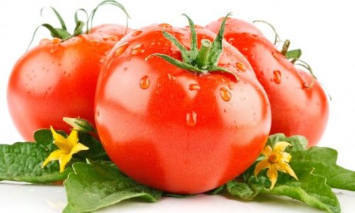 О происхождении азербайджанских помидоров