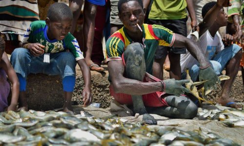 In pictures: Fishing in Sierra Leone