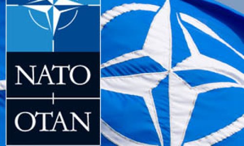НАТО призывает стороны прекратить стрельбу