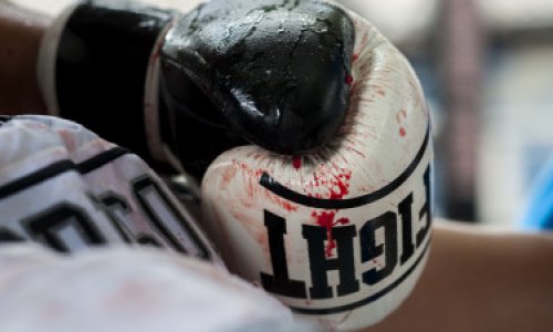 MMA fighter dies from head injuries