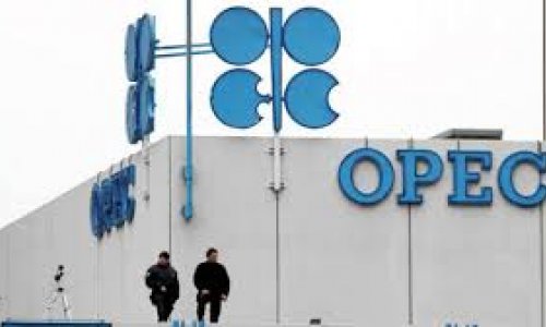 Azerbaijan says Doha draft sees oil production frozen until October - TASS