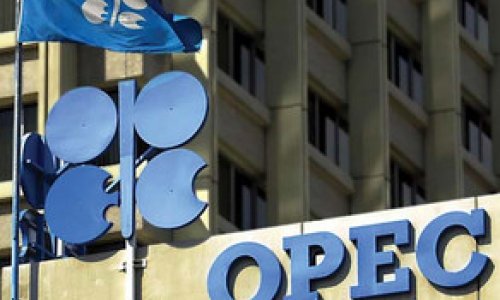 OPEC neft hasilatını 8 illik maksimuma çatdırdı