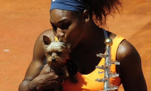 Serena Williams eats dog food but reaches Italian Open quarters