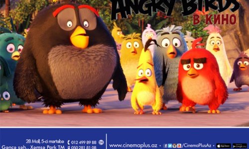 «Angry Birds в кино» на экранах CinemaPlus