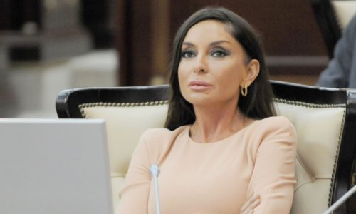 Мехрибан Алиева выступила в парламенте