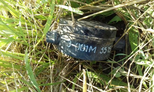 В Агдамском районе обнаружены две противопехотные мины