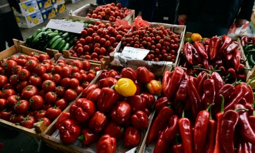 Azərbaycan Rusiyaya pomidor ixracını kəskin artırıb