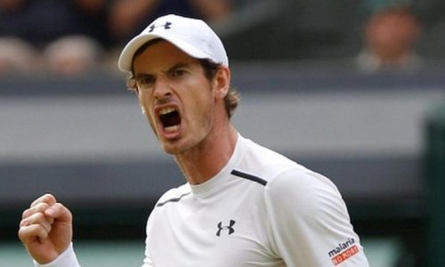 Andy Murray faces Tomas Berdych in semi-finals